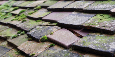 Little Abington roof repair costs